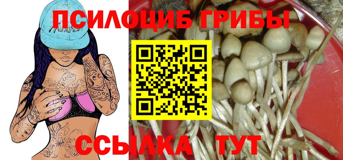 Псилоцибиновые грибы MAGIC MUSHROOMS Рубцовск